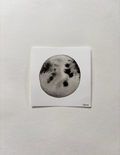 Moon No2