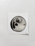 Mond Nr. 1