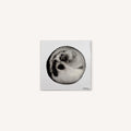 Moon No1